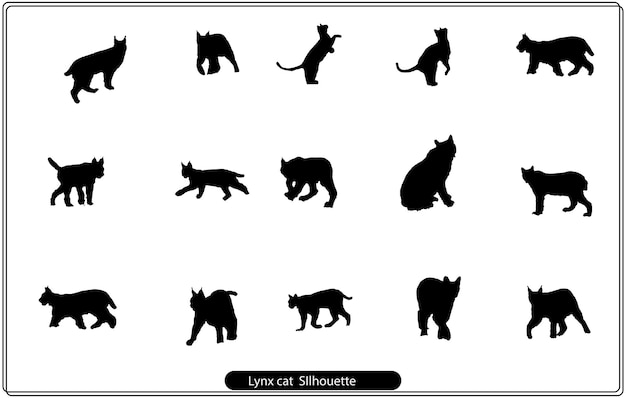 Lynx cat Silhouette