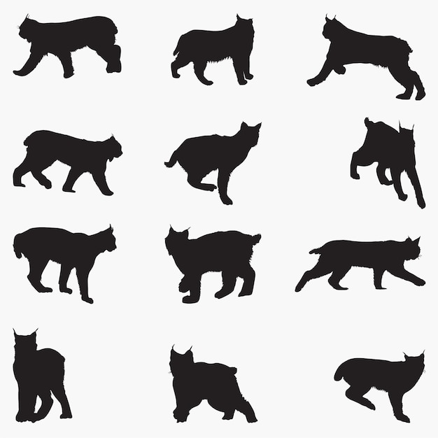 Lynx Cat Silhouettes