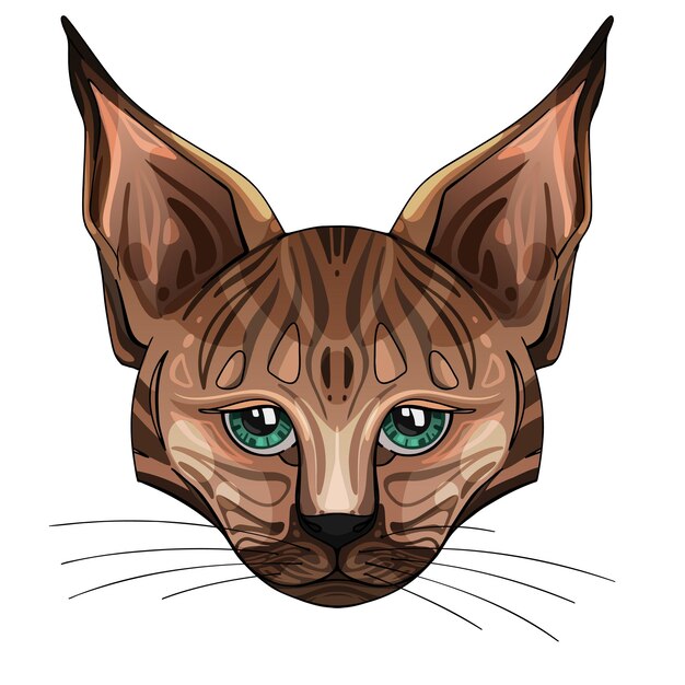 Vector lynx frontal view vector illustration