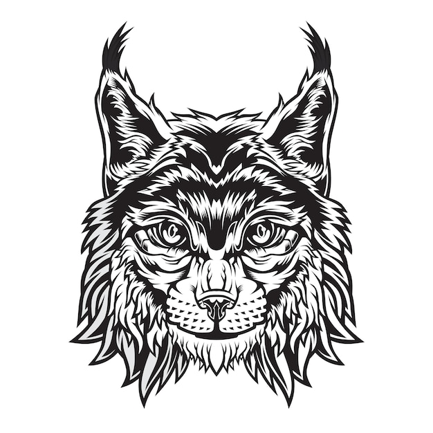 Lynx head mascot isolated on white