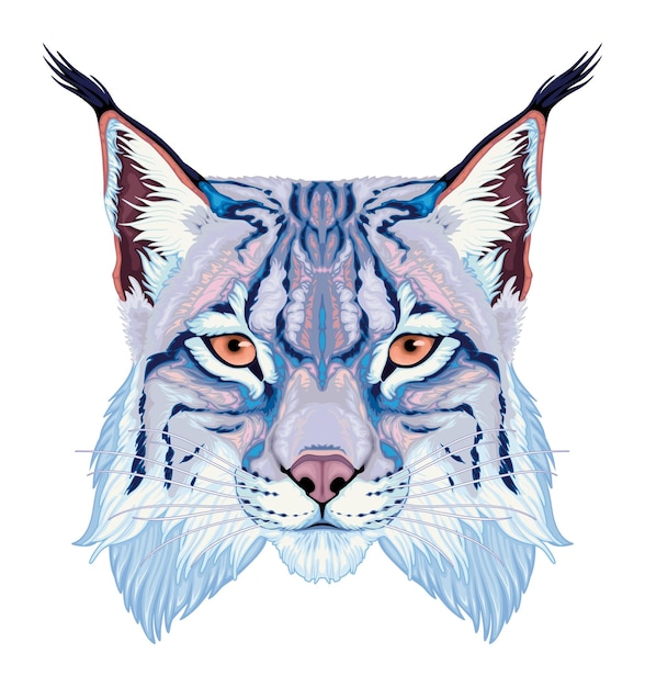 Vector lynx head vector isolated animal