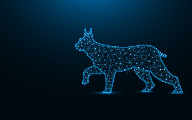 Lynx laag poly-ontwerp, wilde kat draadframe mesh veelhoekige illustratie gemaakt van punten en lijnen op donkerblauwe achtergrond