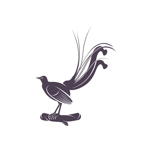 Vector lyrebird vector illustratie ontwerp lyrebird silhouet lyrebird ontwerpsjabloon