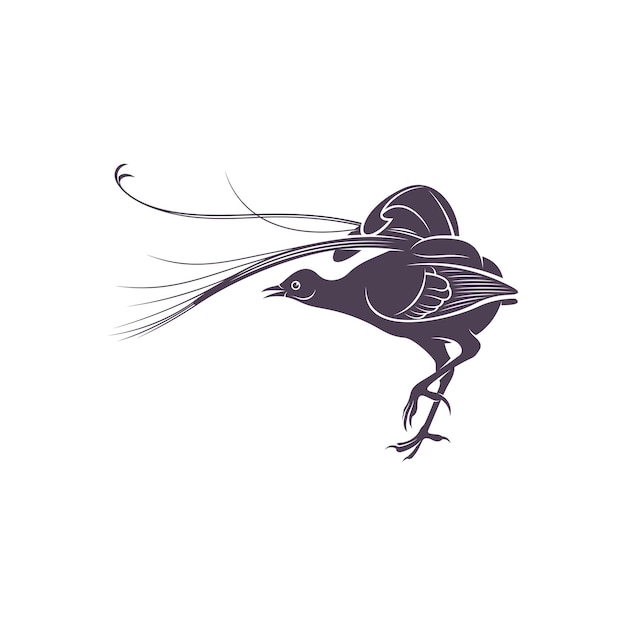 Lyrebird vector illustratie ontwerp lyrebird silhouet lyrebird ontwerpsjabloon