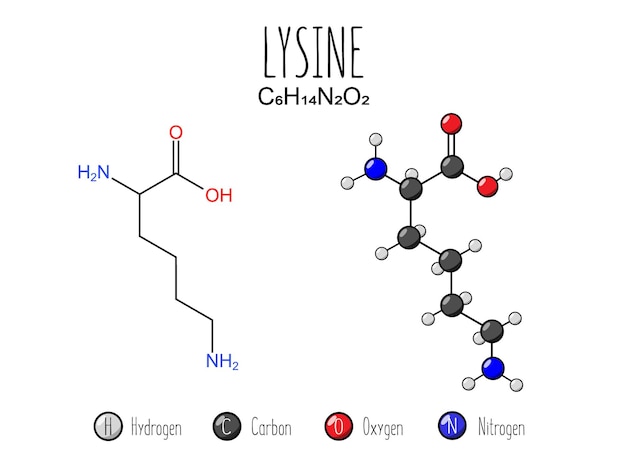 Lysine amino acid representation