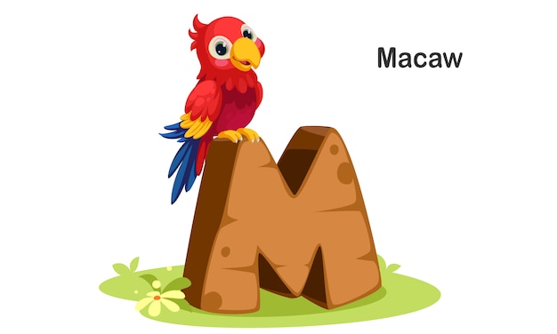 M for macaw