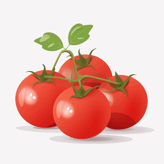 Vector maak een samenhangend ontwerp met deze set vectorafbeeldingen voor tomaten