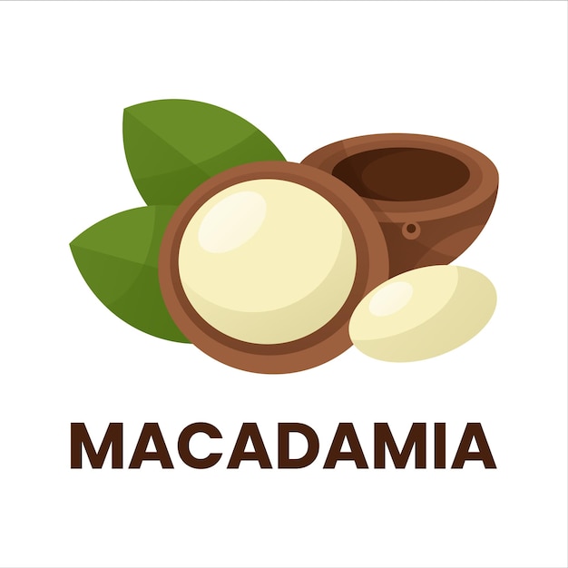마카다미아 아이콘 로고