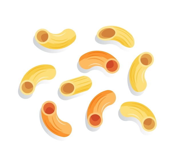 Vector macaroni noodle isolated vector illustration