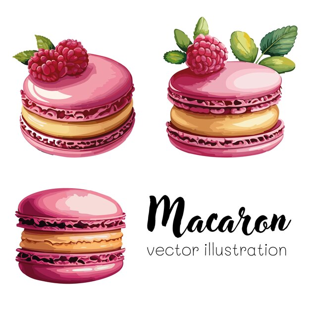 Macarons met frambozen vector illustratie Macaron Franse dessert set collectie