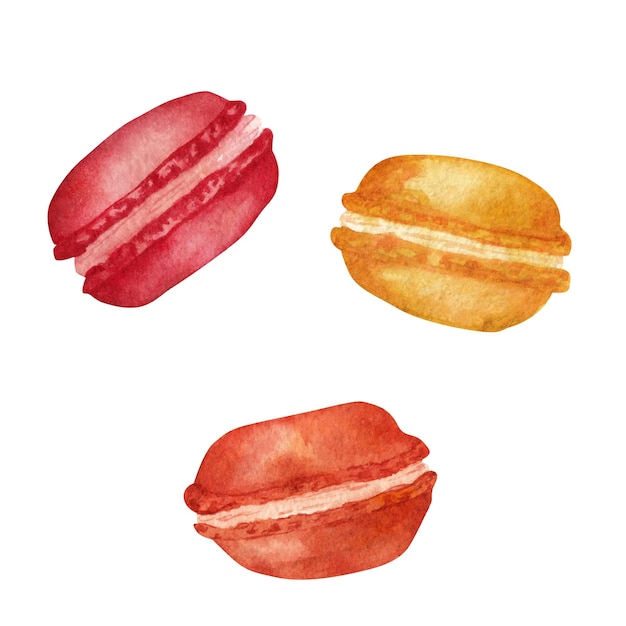 Macaroon, watercolor element on a white background.
