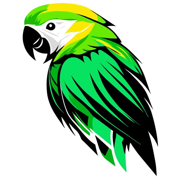 Macaw majesty in vector art