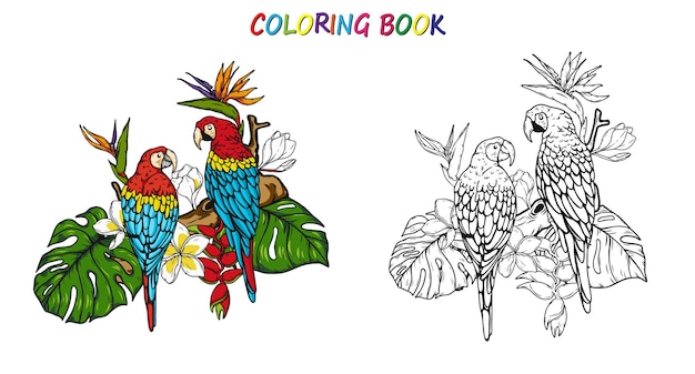 Macaw Parrot in summer for coloring book