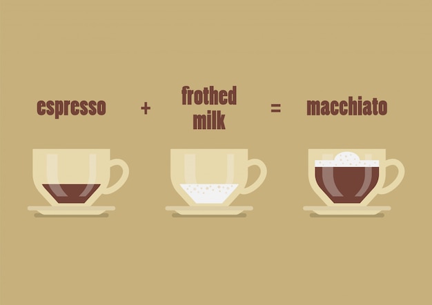 Vector macchiato coffee recipe