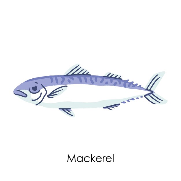 Vettore mackerel elemento di pesce commestibile d'acqua salata