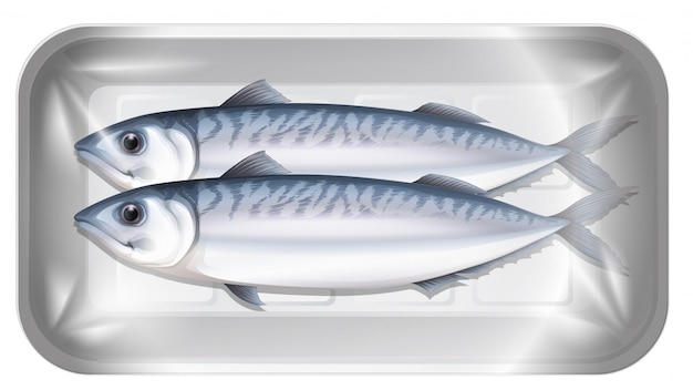 Vector mackerel in the package