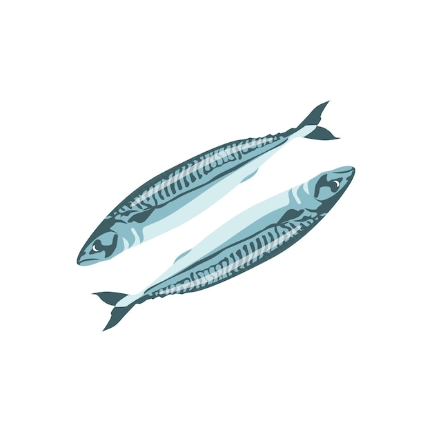 Vector mackerel saury herring fresh sea fish