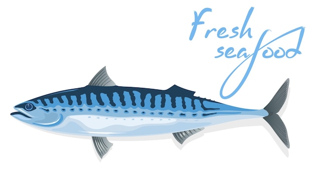 Vector mackerel with elongate, steel-blue marked with wavy black lines dorsally body and long