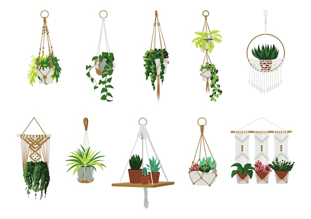 Macrame hangers Indoor home and office plants in garden hanging flowerpots Scandinavian interior decorative elements Handmade knitted pots holders Vector cartoon houseplants set