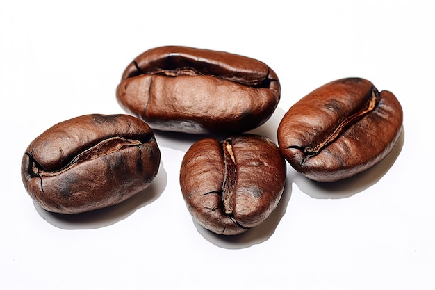 그림자와 반사가 있는 격리된 커피 콩의 매크로 사진
