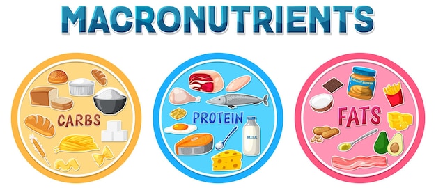 Macronutrients diagram with food ingredients