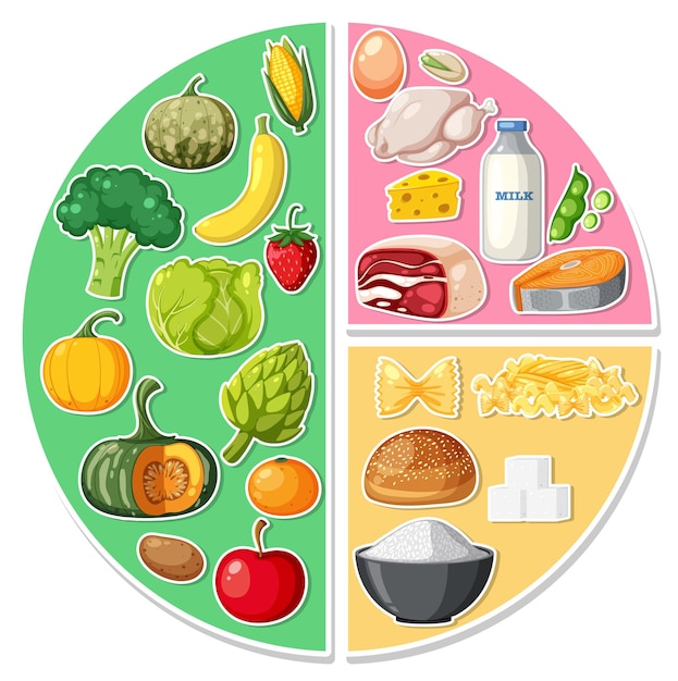 Vettore diagramma dei macronutrienti con ingredienti alimentari