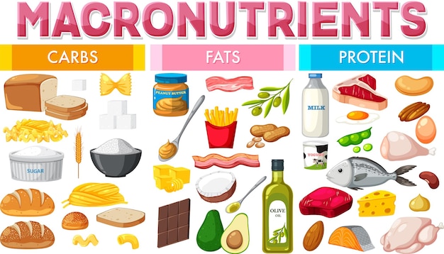 Vettore diagramma dei macronutrienti con ingredienti alimentari