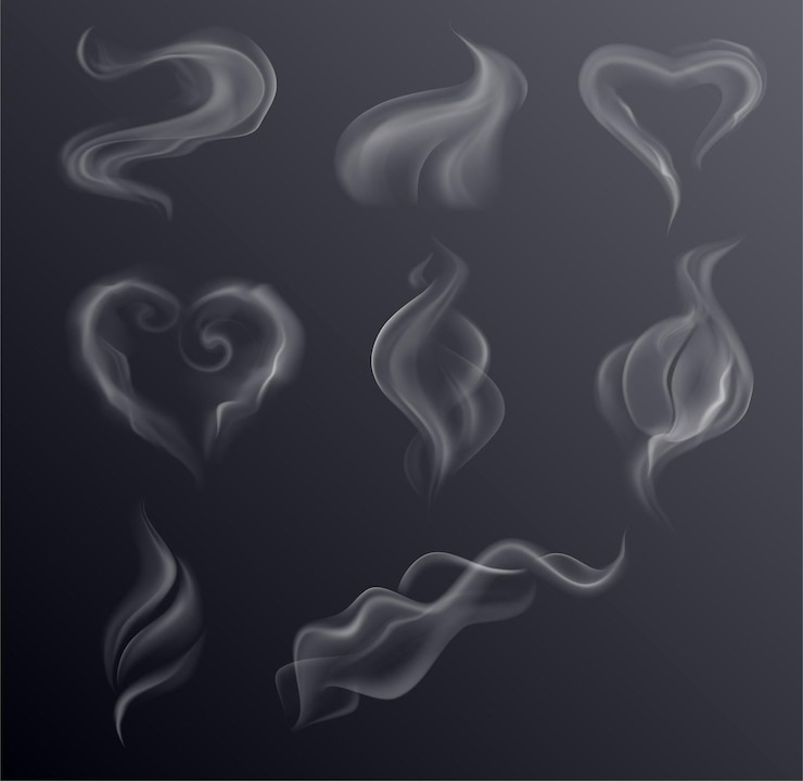 Vector macrovector empty