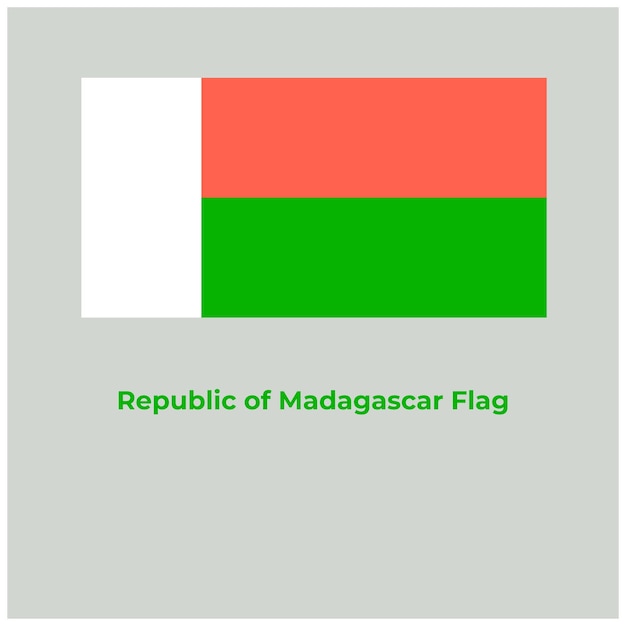 The Madagascar Flag