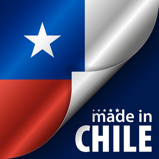 Vector made in chile graphic and label