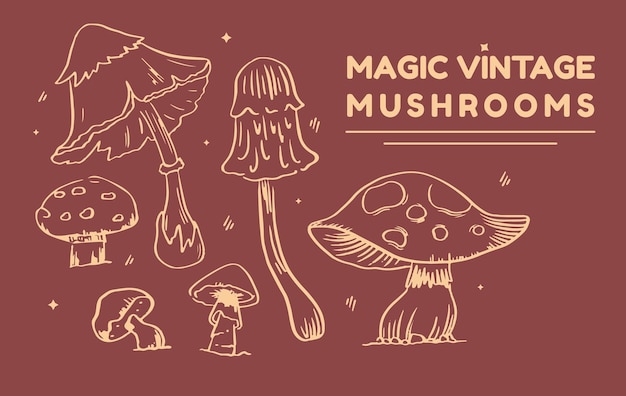 Illustrazione di funghi magici