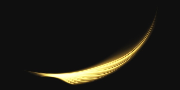 Magic Phoenix Feather. Vector