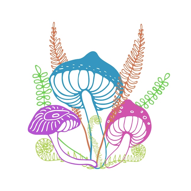 Волшебные лесные грибы художественная печать Три гриба с папоротниками и лесной травой на белом фоне Ручная рисованная векторная иллюстрация