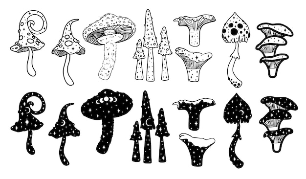 Magical mushrooms collection. Black line vector art.