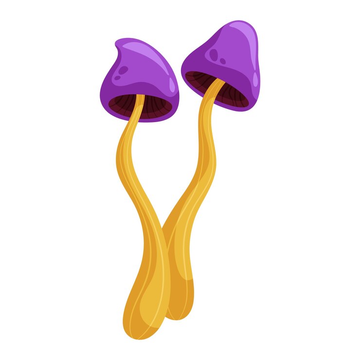 Vector magical wild mushroom autumn forest raw ingredient cartoon flat illustration