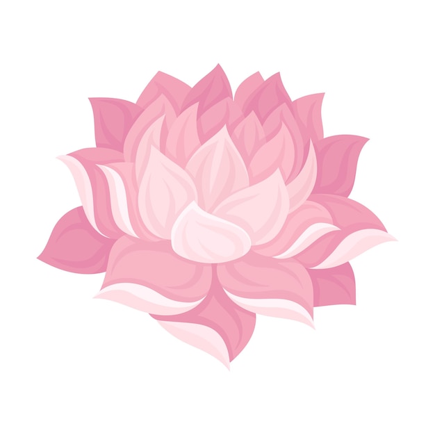 Vector magnificent waterlily flower bud with tender petals vector illustration scaled decorative element concept