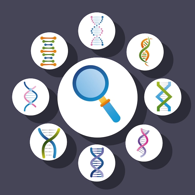 Magnifying and dna genetic icons