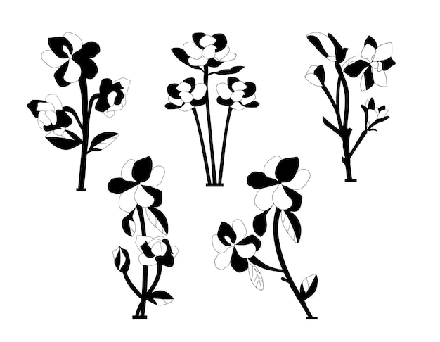 Vector magnolia bloem geïsoleerde vector silhouetten