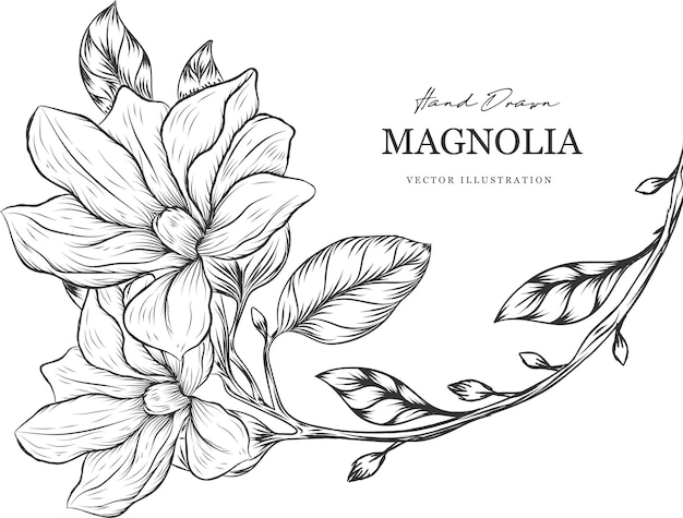 Magnolia bloem hand getekende illustratie