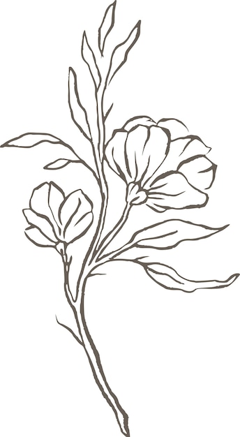 Magnolia bloem lijn vector logo elegante bruiloft delicate bloemen natuur wilde bloem