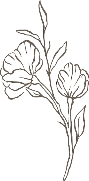 Magnolia bloem lijn vector logo elegante bruiloft delicate bloemen natuur wilde bloem