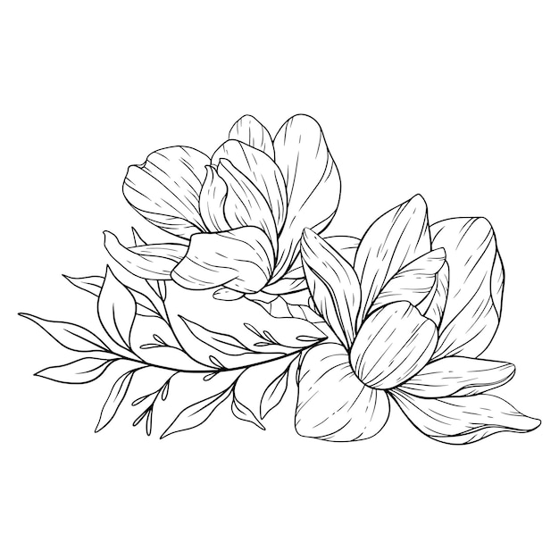 Vector magnolia bloem line art bloemen kleurplaat overzicht bloemen