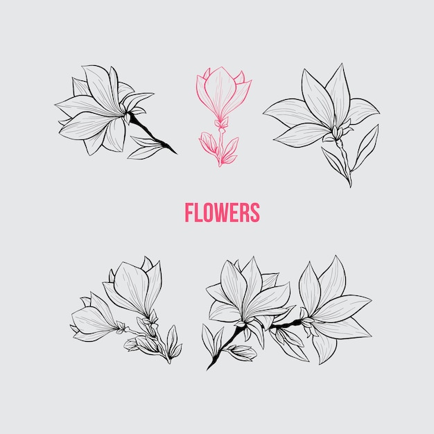 Magnolia bloemen met de hand getekende illustraties set