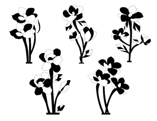 Magnolia Flower isolated vector Silhouettes