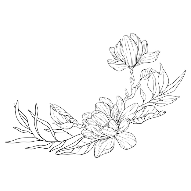 Magnolia Flower Line Art Floral Coloring Page Outline Flowers