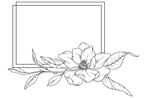 Vector magnolia line art bloemramen en boeketten bloemlijnkunst