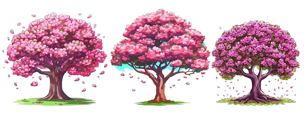 Vettore albero di magnolia incastonato in uno sfondo bianco isolato collezione di clip art per albero di magnolia