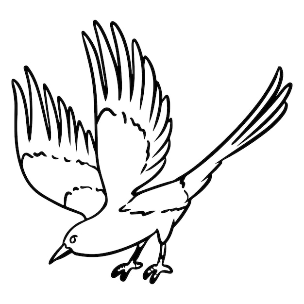 Magpie cartoon icon Wild flying bird outline comic style image Hand drawn isolated lineart image for prints designs cards Web and mobile clipart