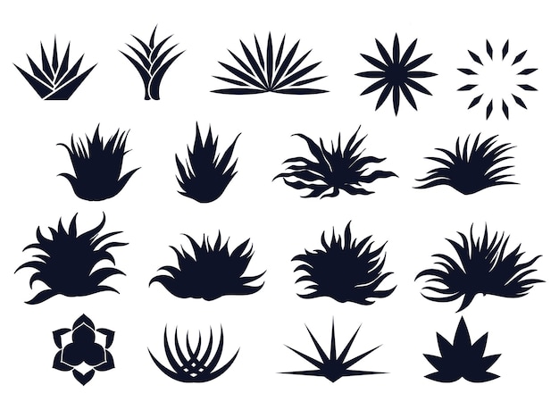 Maguey Plant Silhouettes Collectie Silhouetten Premium Vectoren