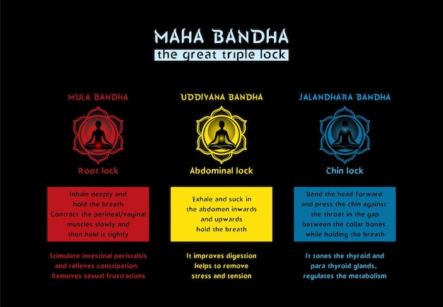 Infografica di maha bandha per il poster di yoga